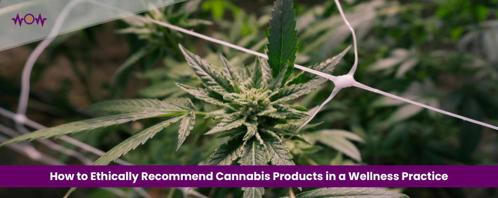 How to Ethically Recommend Cannabis Products in a Wellness Practice